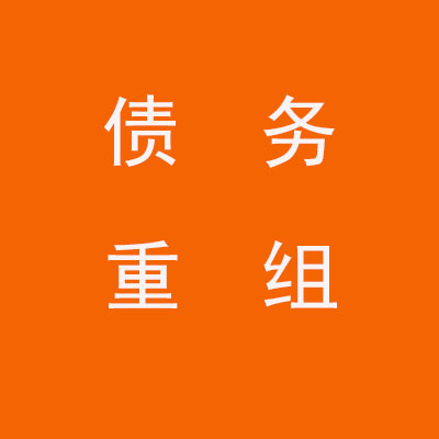 雨山个人债务重组优化